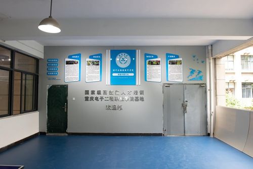 職社融合雙向奔赴 重慶電子工程職業學院以信息技術咨詢服務破解社會服務難題