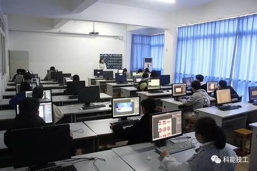 技能點亮未來，服務鑄就夢想——現代服務系技能競賽月活動圓滿落幕